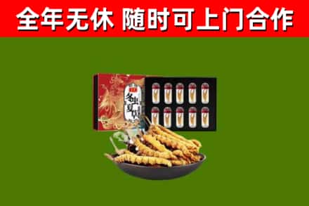 梁河县回收冬虫夏草价格